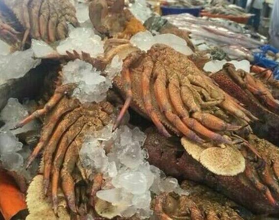 迪拜菜市场有多少 (迪拜菜市场有多富有)