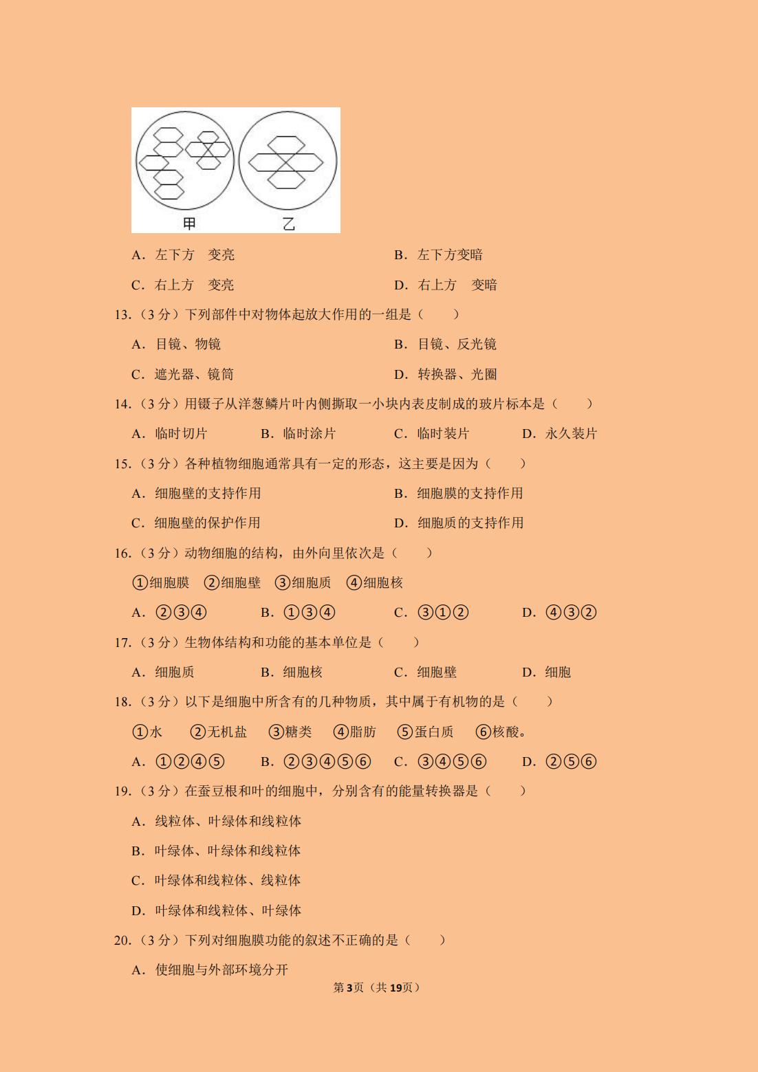 七年级上册期中考试生物知识点,七年级上册生物期中考试重点