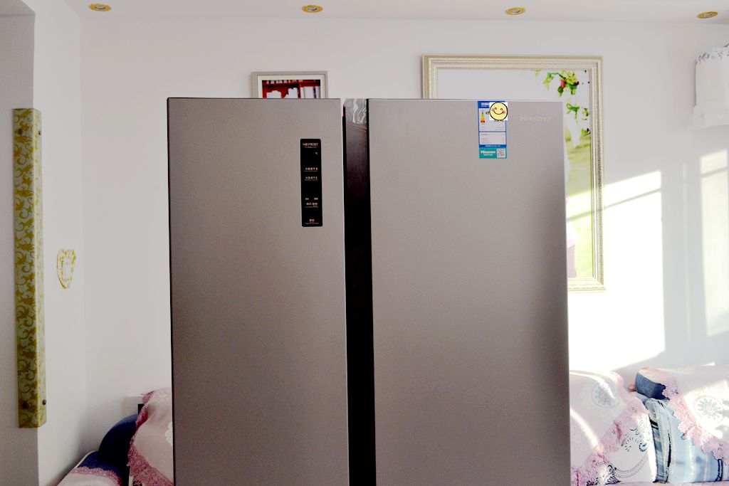 双开门大冰箱价格6万,真正的双开门冰箱价格