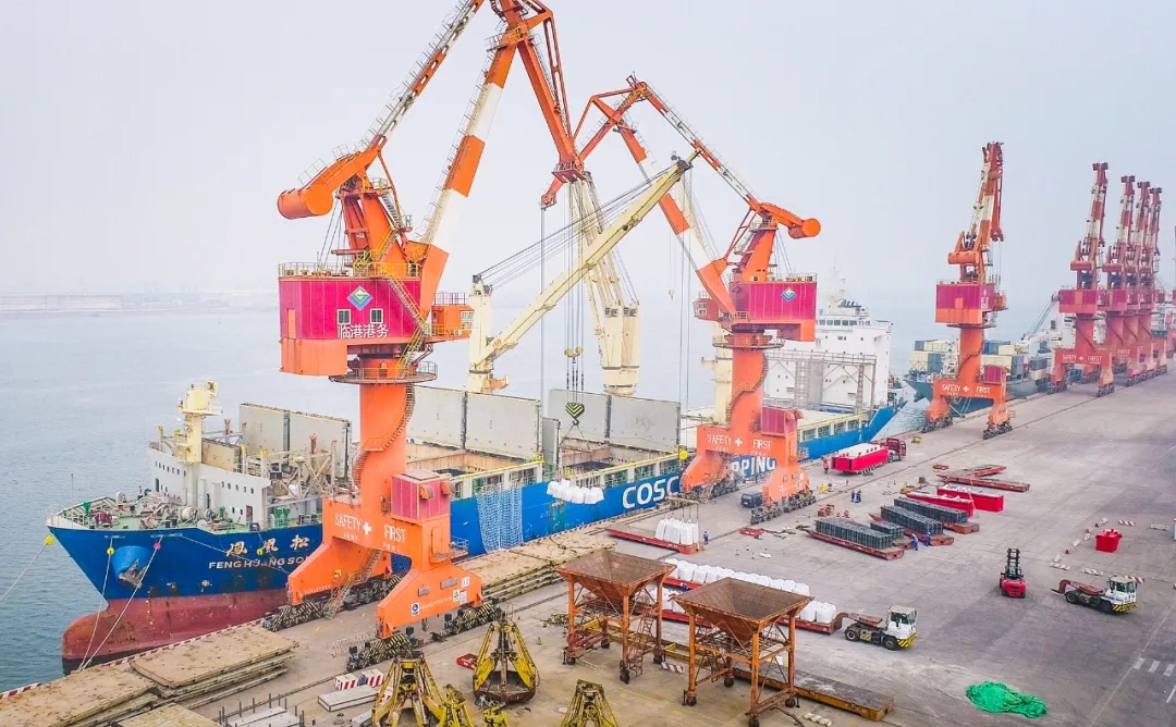 大沽口港区首次出口薄皮核桃、葵花籽