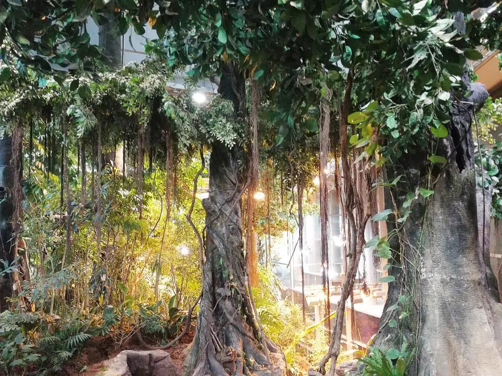 上海科技馆景区,上海科技馆景点介绍