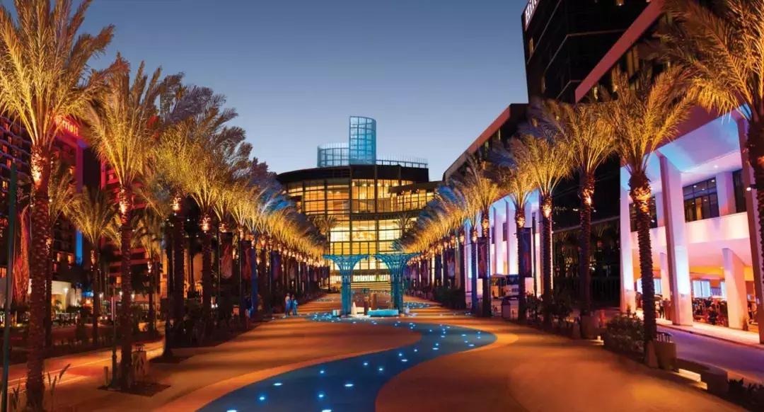 安纳海姆中心,安纳海姆迪士尼