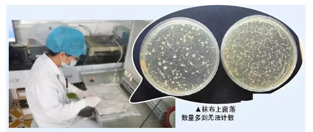 春节大扫除必备神器,10件春节大扫除必备的清洁神器