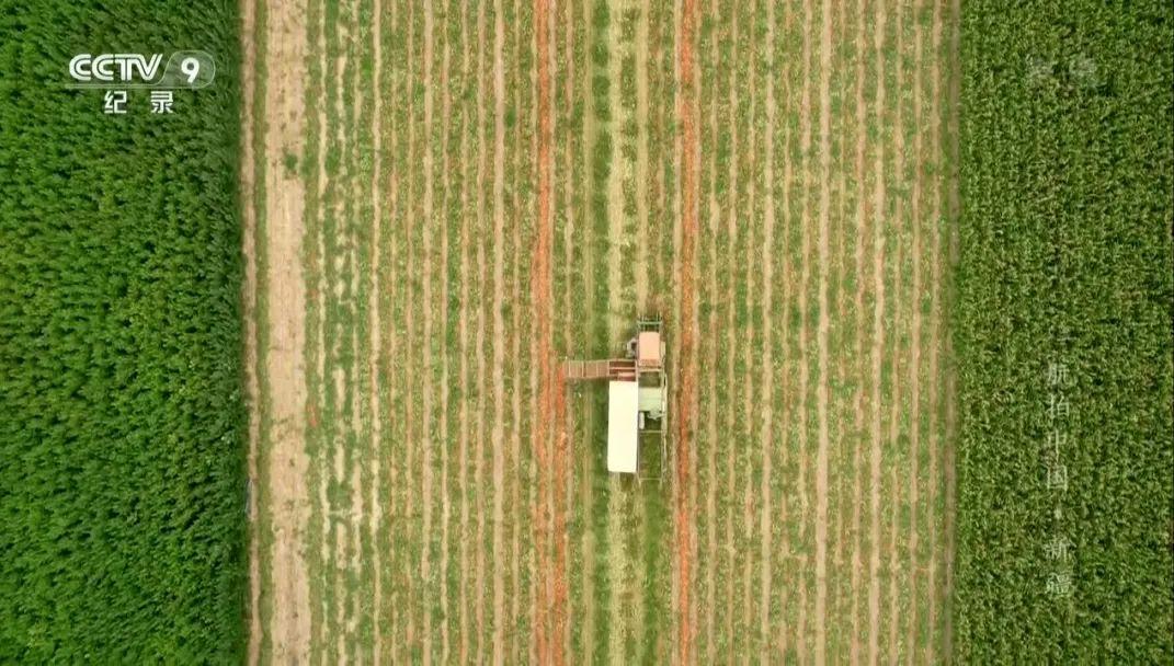 hm耐克阿迪,hm耐克优衣库阿迪达斯