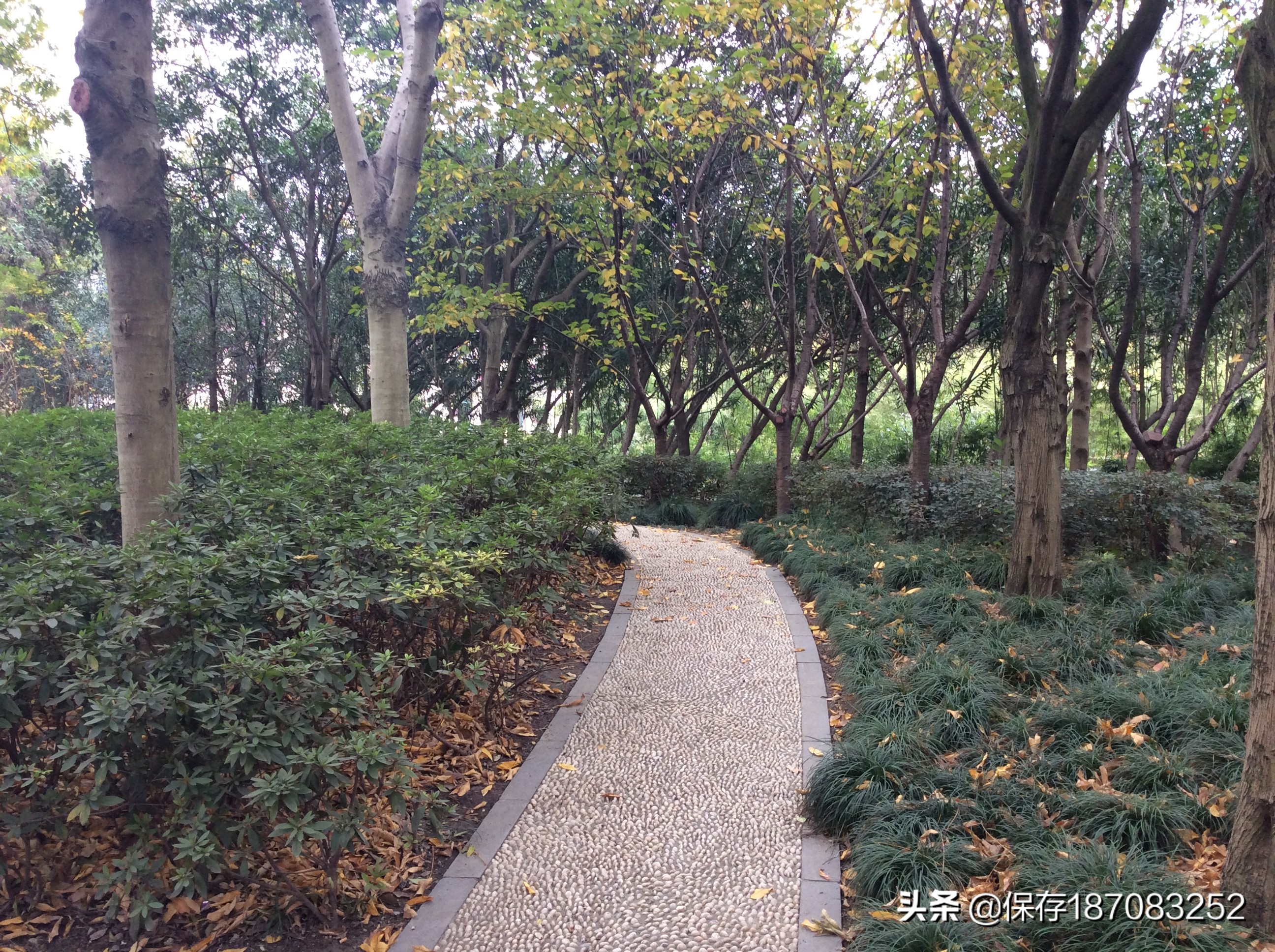 上海徐汇区公园名单,上海梦核公园