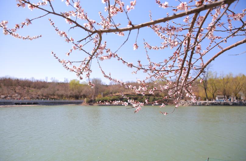 北京4月踏青的地方丰台区有哪些,丰台踏青好去处