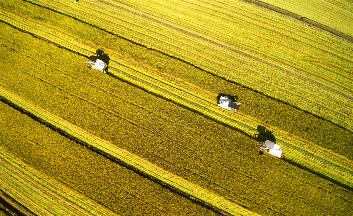 秋天苏州游玩,苏州旅游攻略秋天