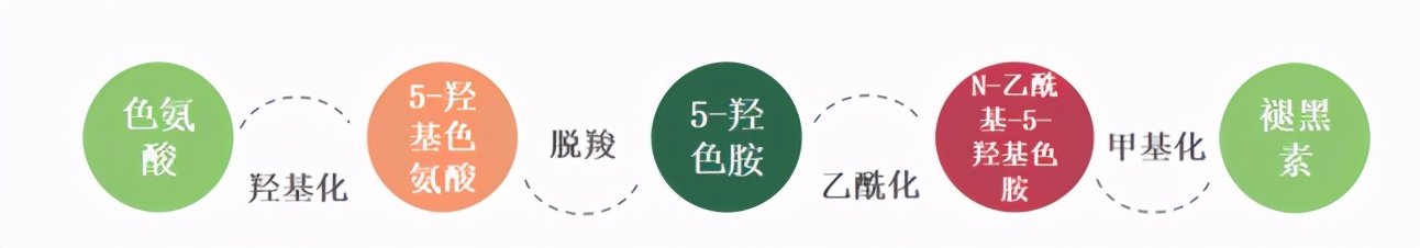 失眠最好的助眠方式,关于助眠的7个真相