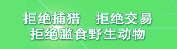 天津泰达第一体育场开放时间,天津河东体育场什么时候开放