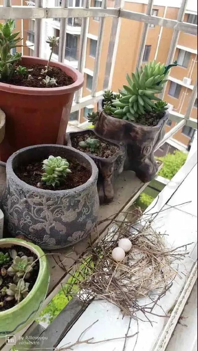 00后知道以前五一七天假吗,00后不知道00年代的事情