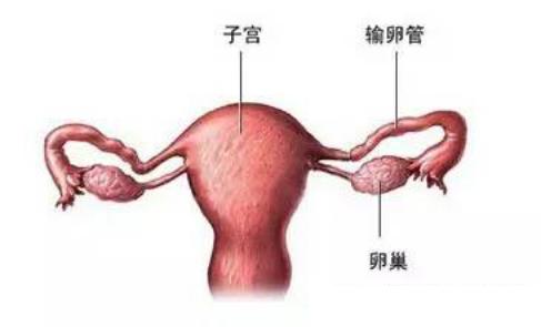 60岁跳广场舞子宫脱落,大妈跳广场舞身上掉了一块肉