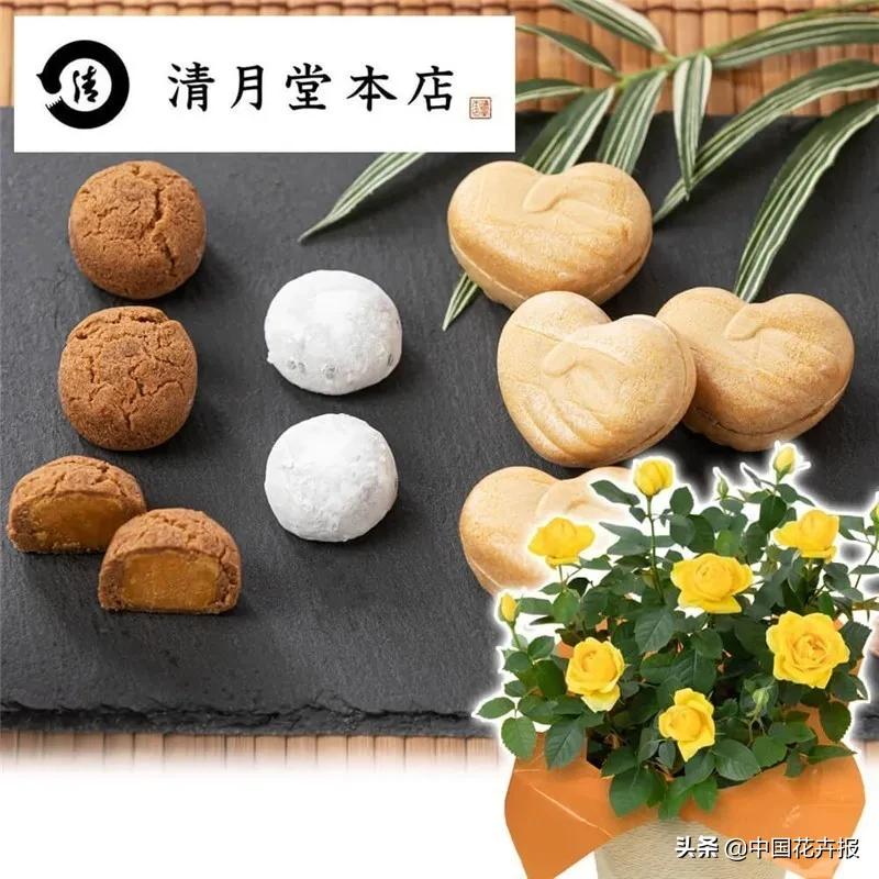 父亲节礼物怎么做一束花,父亲节的花是怎么做最简单的