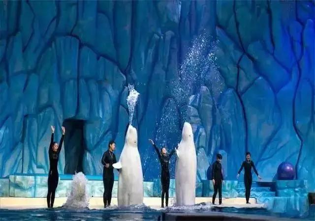 来一场说走就走的旅行珠海长隆,广东长隆及珠海长隆旅游攻略