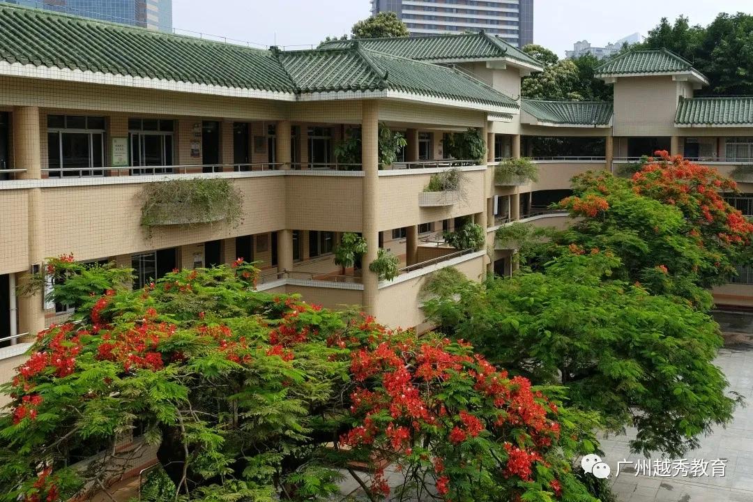 广州华侨外国语学校,带你云探展览系列