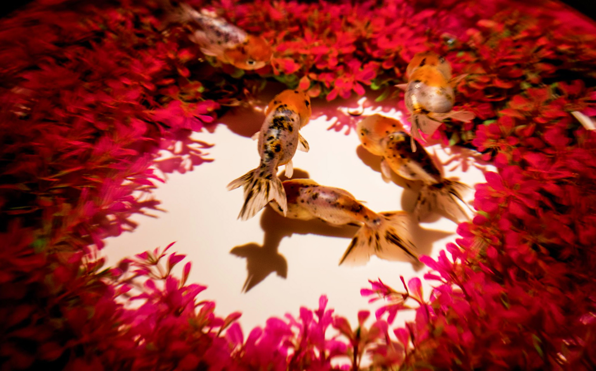 很少有人知道的非遗物品,没人知道的传统文化