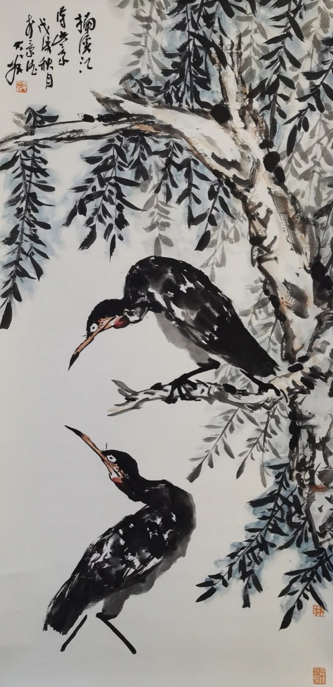 八哥第一人——没有虚传