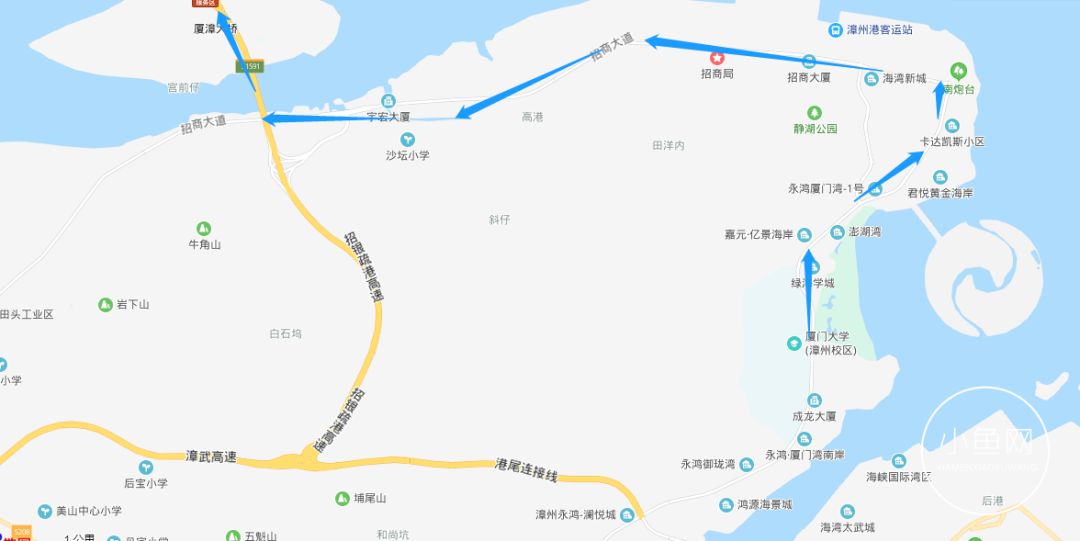 鬼城or未来可期？我们走进漳州港，发现“接盘侠”的各种悲喜交加