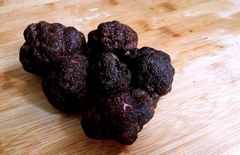 被称“煤球”,长得又丑又难闻,却为世界3大珍馐,一斤卖到600元