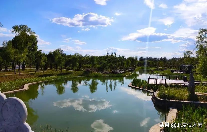 芒种旅游景点推荐,芒种至仲夏节气