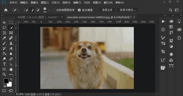 photoshop快捷键大全图解,photoshop快捷键对照表格大全