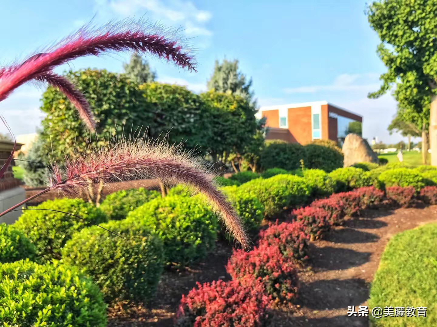 维克森林大学硕士留学条件,去北欧留学靠谱吗