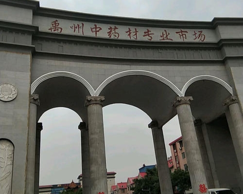 地牯牛虫收购多少钱一斤,地牯牛多少一斤