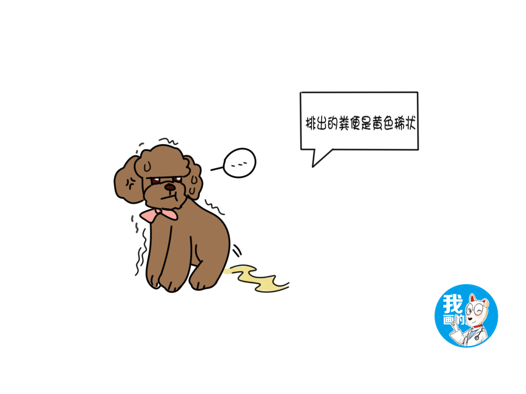 新生犬有疱疹会传染给大狗吗,犬疱疹如何防治