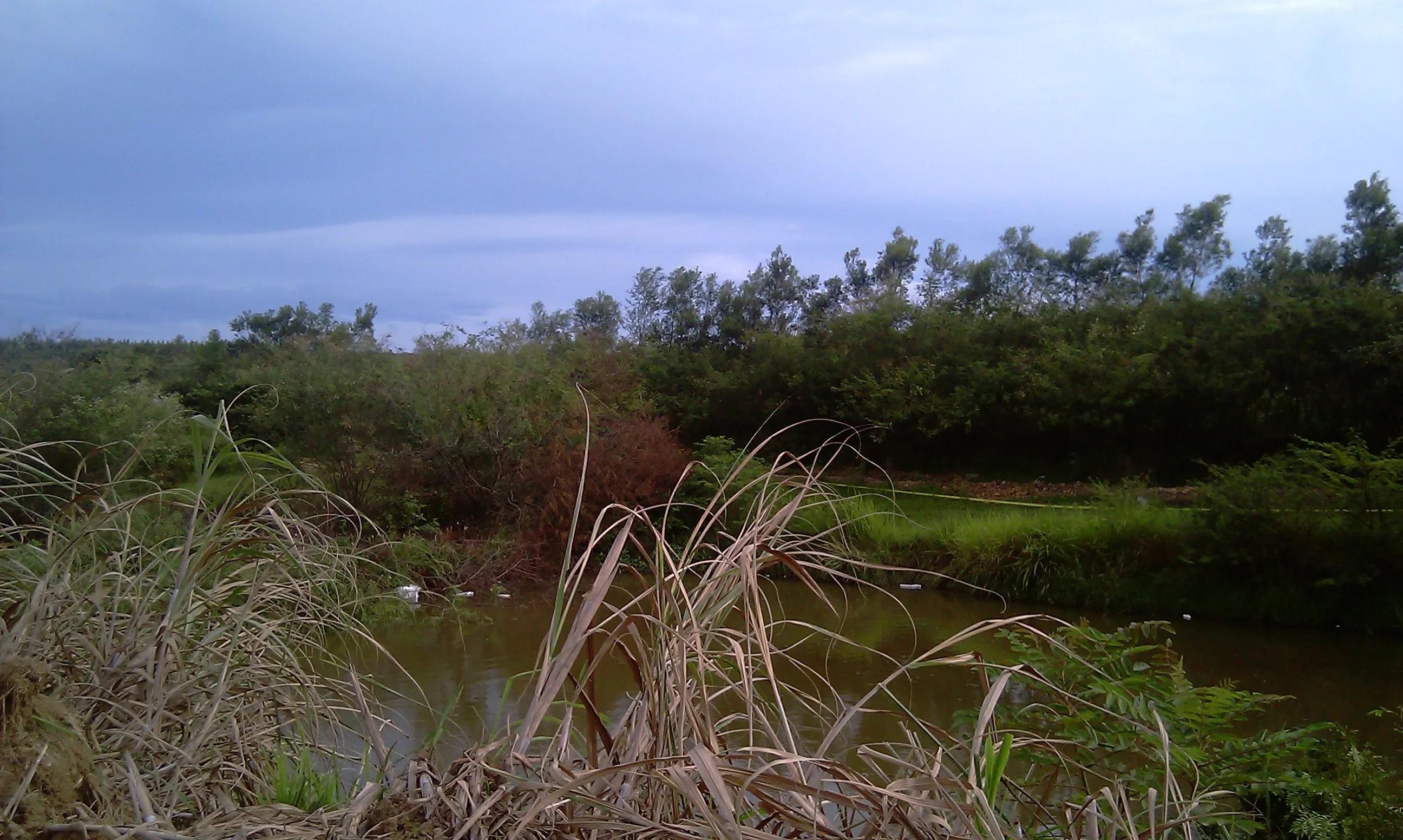 曾经特别火的拍照手机,那些年的拍照手机