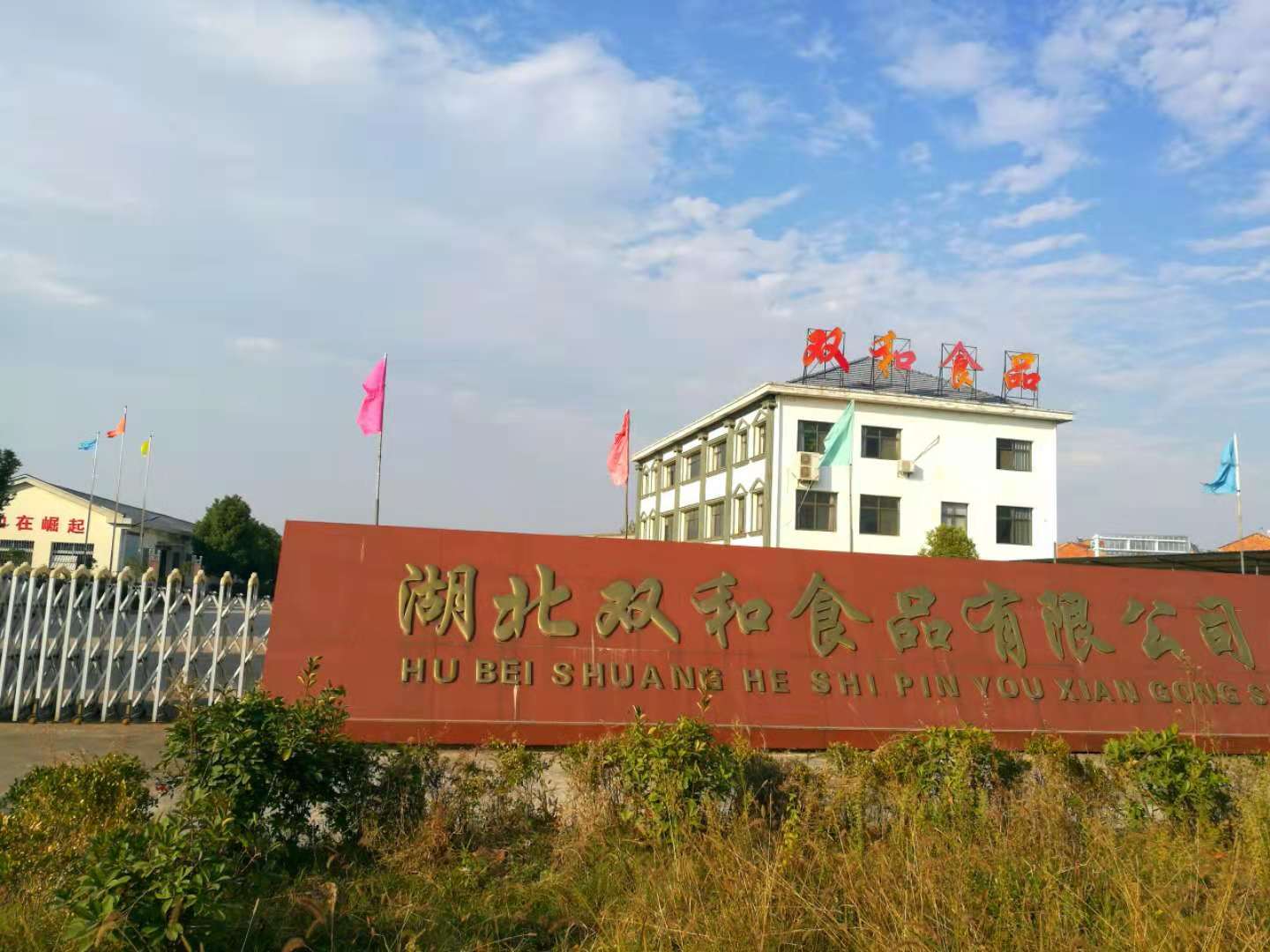 坚守与创新：双和酥糖，不只是让你的味蕾在春节时才领略它的温柔