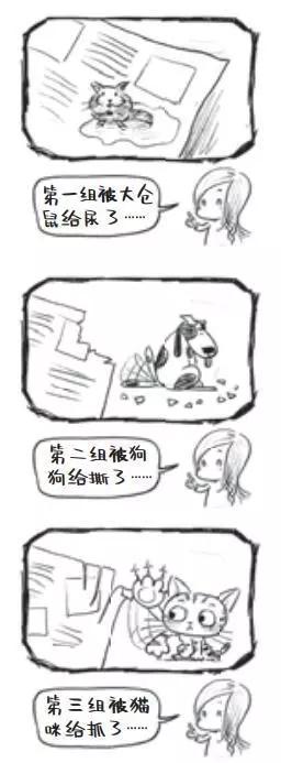 二孩家庭的真实生活,二孩家庭的幸福