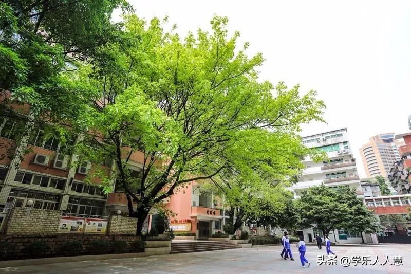 华师附中2024招生简章,二中应元增城