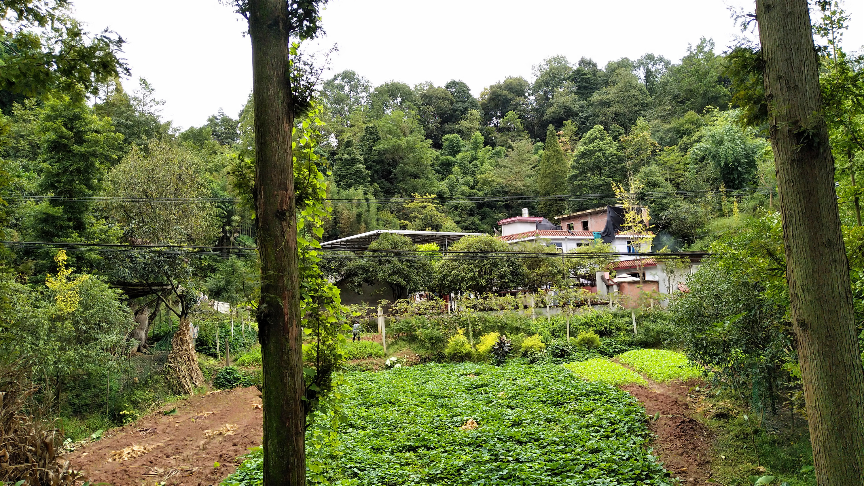 仗义般若寺第5节：大师说法