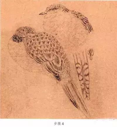 苏百钧工笔国画教学视频,苏百钧花鸟白描画稿