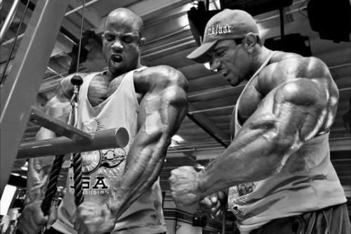 椹竵鍐呭吂鍋ョ編濂ヨ禌灞曠ず,鍋ョ編椹竵鍐呰尐