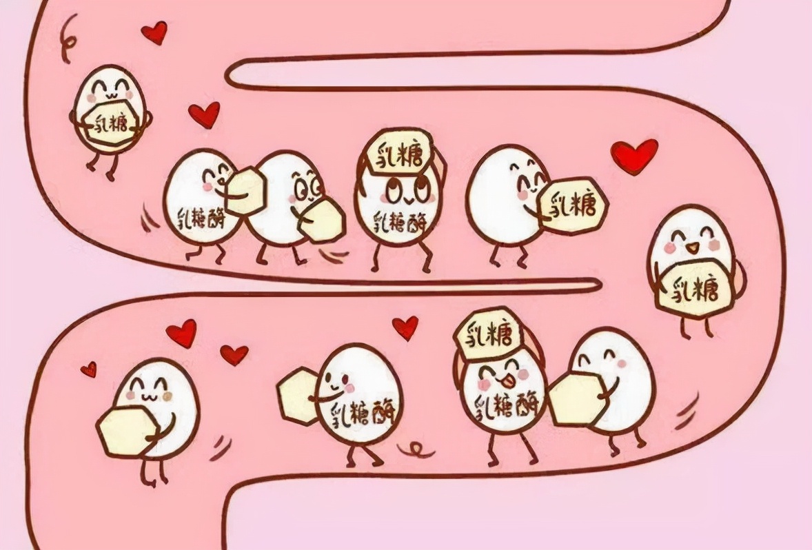 一喝牛奶就拉肚子还有泡沫,一喝牛奶就拉肚子还能继续喝吗