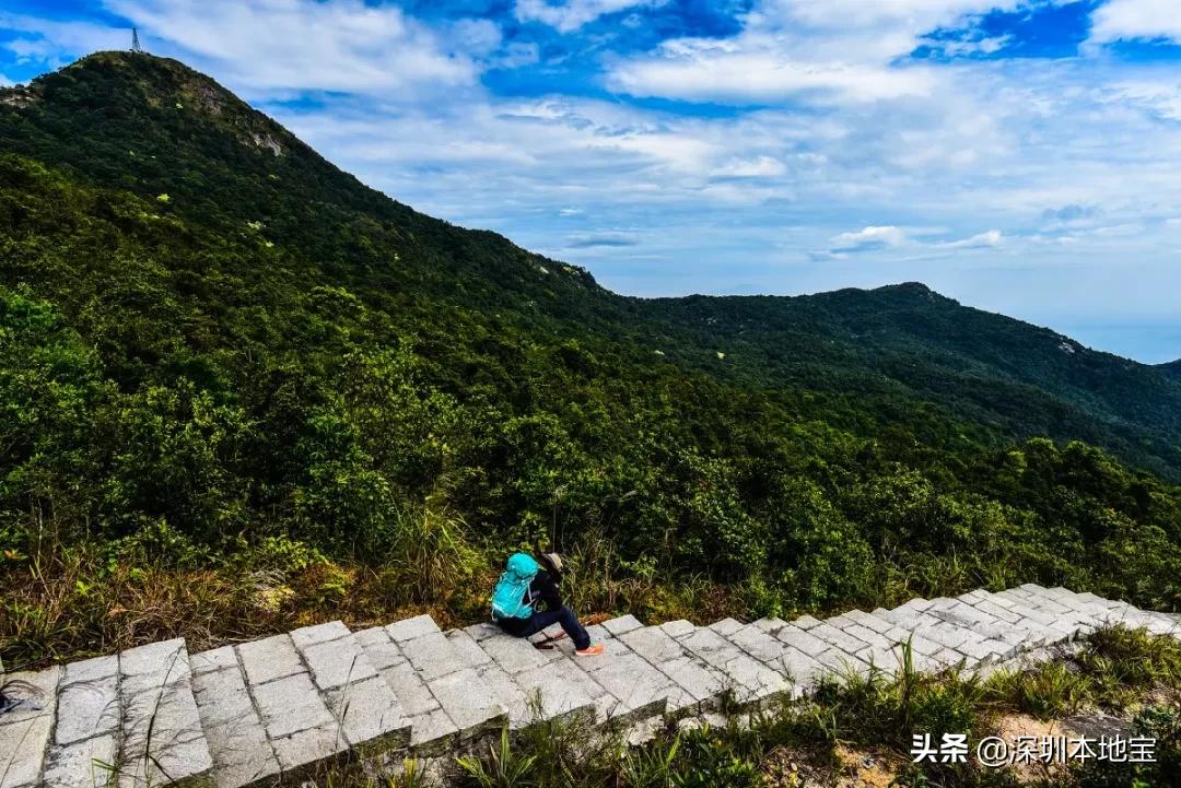 深圳完全免费的十大景点,深圳10大免费景点上集