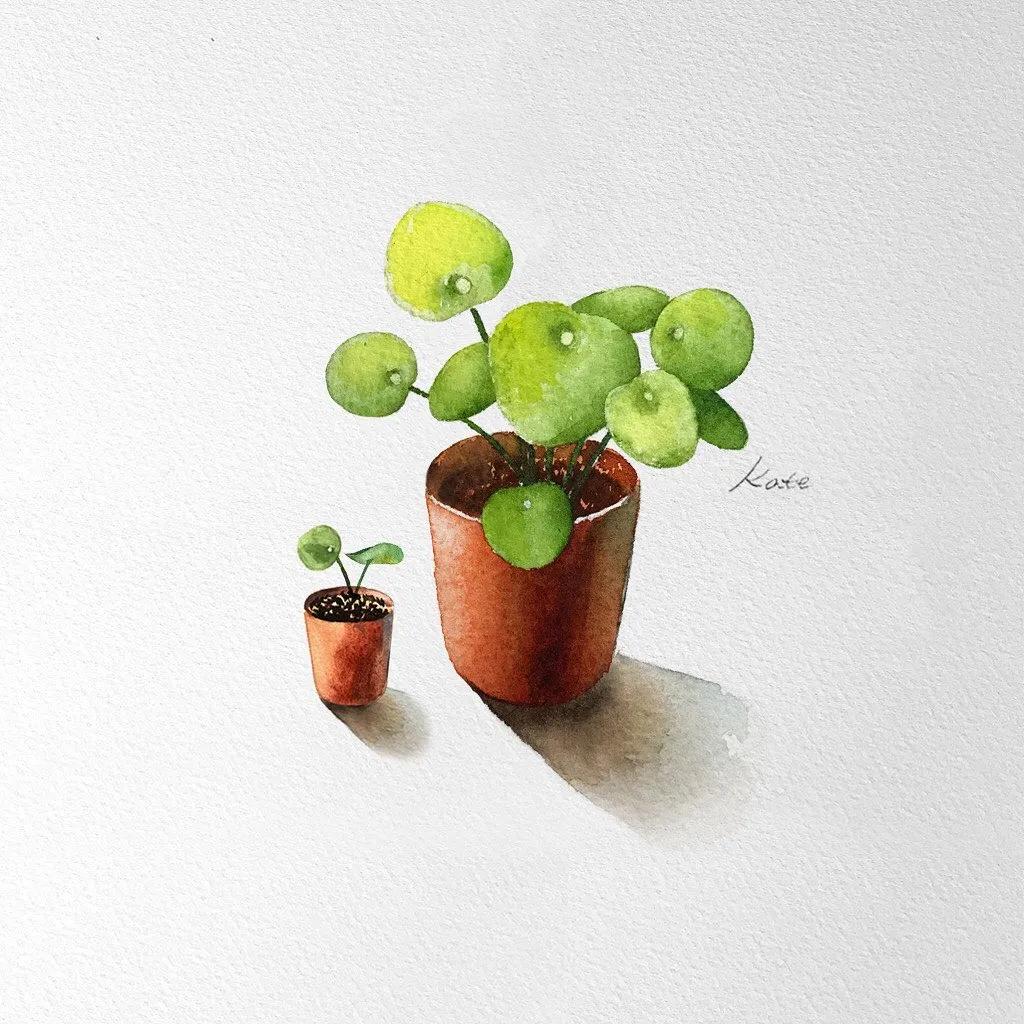 一分钟教你简单画花,简单的花卉图教程