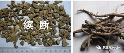 中药饮片独角牛别名,中药饮片大芸的别名