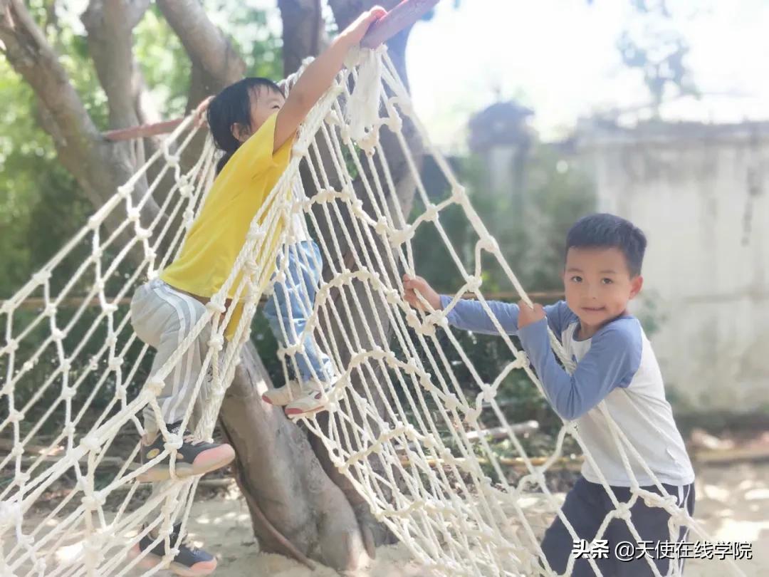 华德福教育与现代教育,华德福教育和蒙氏教育的区别
