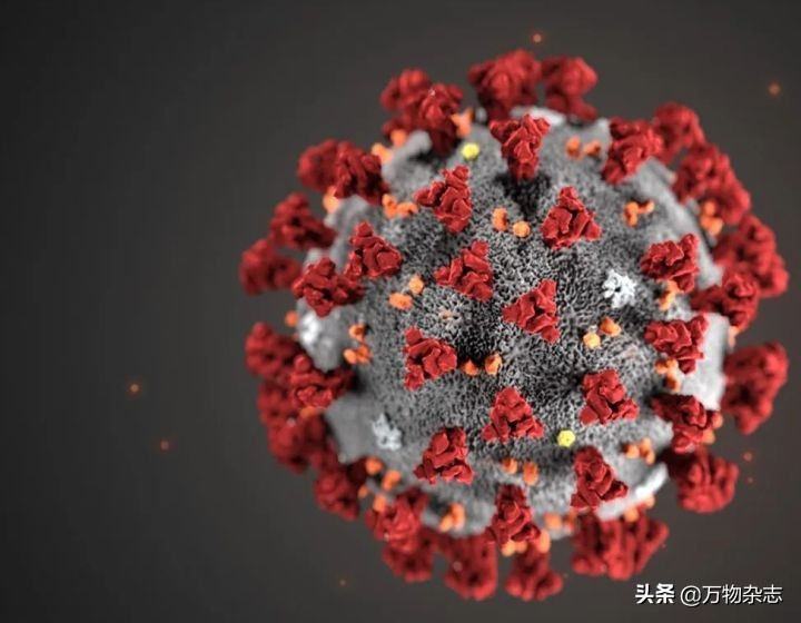 美国新冠自测官方承认吗,检验新冠核酸的试剂有哪些