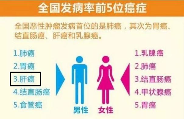 肝癌免疫靶向最新消息,肝癌免疫治疗单抗和双抗怎么选