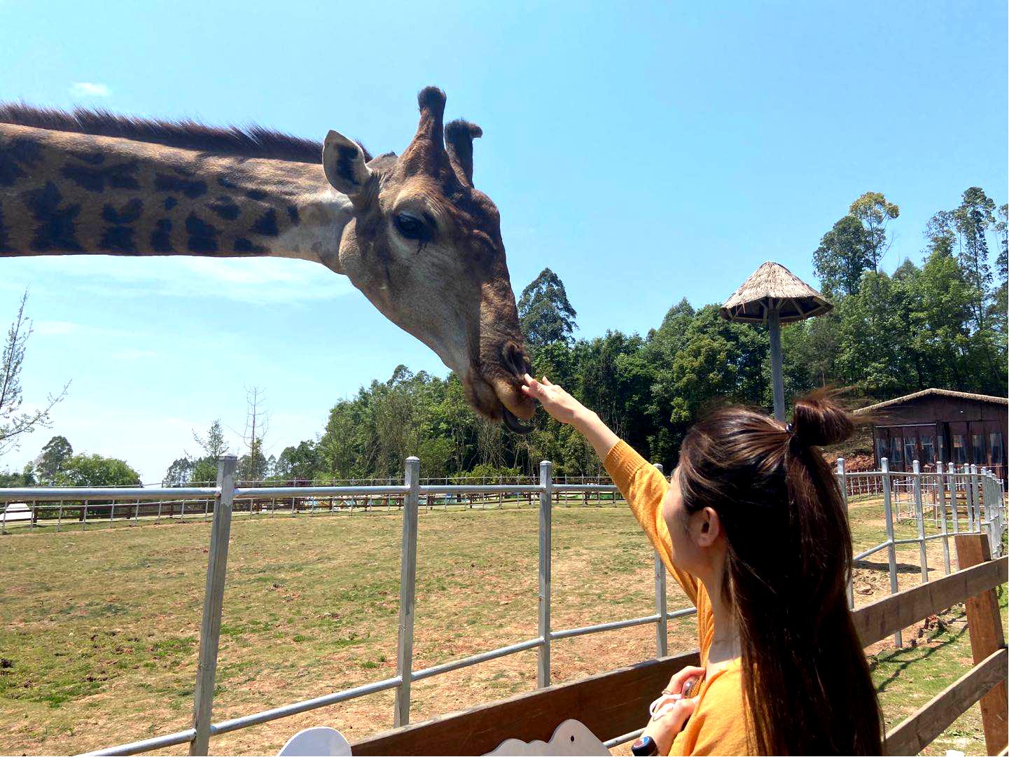 成都周边春季徒步旅游攻略,成都森林徒步旅游攻略