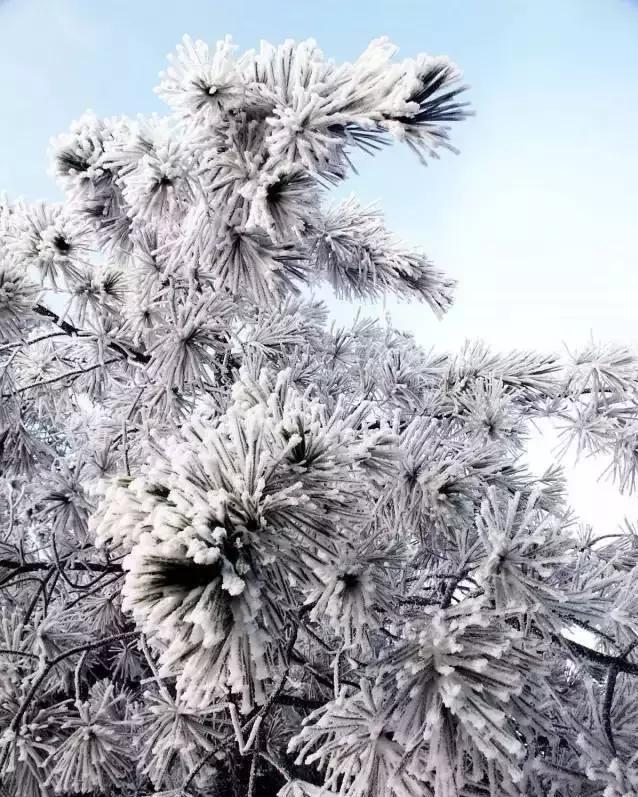 广东居然藏着一个神秘天坑,广东这座小镇藏着多少宝藏