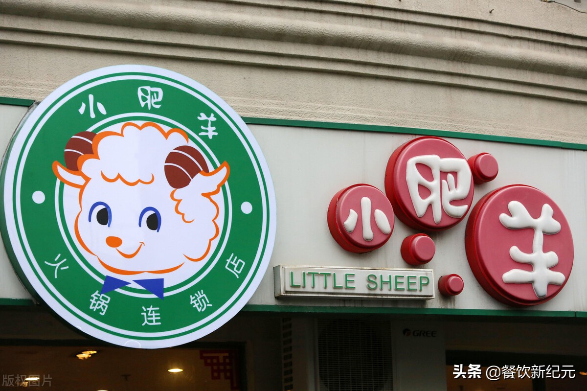 小肥羊为什么没落,小肥羊为什么在市场上消失了