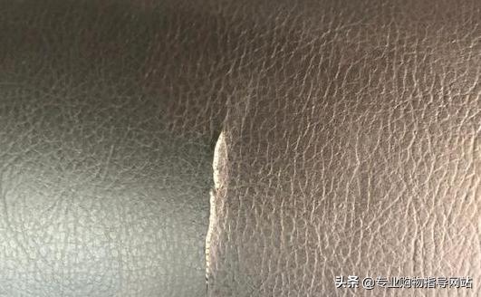 真皮座椅开裂，东风日产：可能是车主使用发胶导致