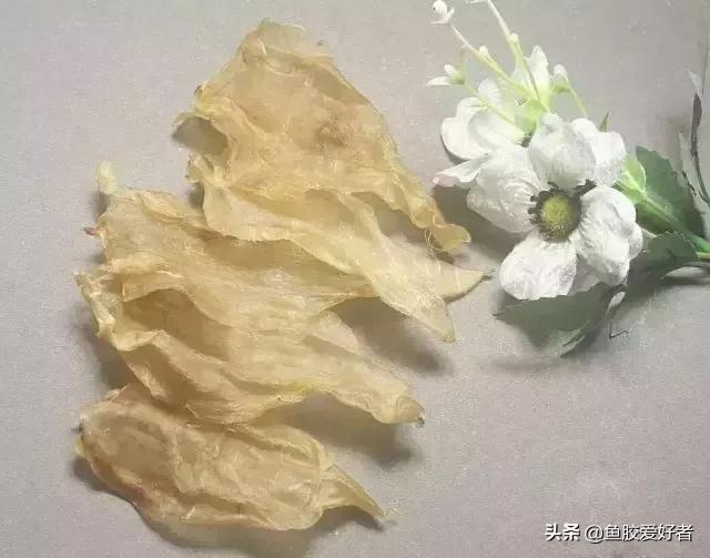 花胶的说法,花胶疑问