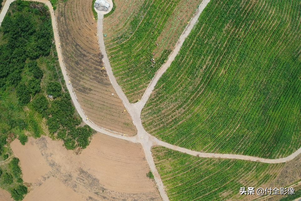 斯莫尔尼修道院主教,斯莫尔尼宫的宫殿