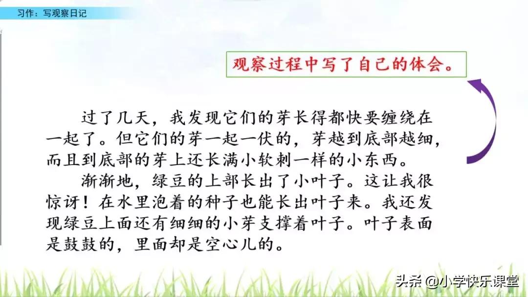 四年级语文第三单元观察日记作文,四年级观察日记400字优秀作文植物