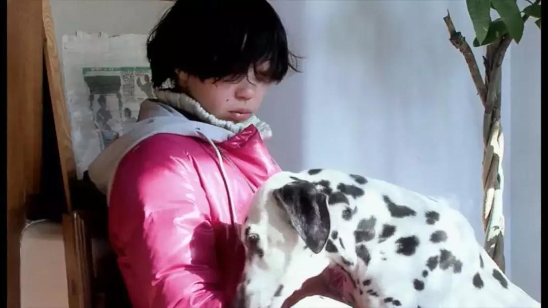 在读书学习的道路上没有捷径可走,在读书的道路上