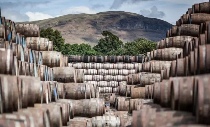 值得投资的威士忌怎么买,投资威士忌怎么样